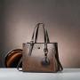 Ladies Four Seasons New Fashionable Handbag Simple One-shoulder Crossbody Bag Large Capacity Women Tote Bag Customs Tote Bag