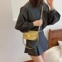 Fashionable niche design 2024 spring new versatile women's bag