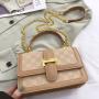 Trendy Lady Designer Bag Two Color Grid Flap Pattern Cross Body Purse Women Golden Hardware & Chain Strap Sling Messenger