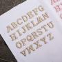 Personalized Style Brand Name Chenille Embroidery Iron On Letter Patches Custom Designer Glitter Letter Patches