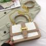 Trendy Lady Designer Bag Two Color Grid Flap Pattern Cross Body Purse Women Golden Hardware & Chain Strap Sling Messenger