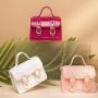 Flash Sale Wholesale PVC Jelly Bag Women Handbags Small Shoulder Bag for Women Purse New Style