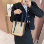 New minimalist and fashionable trendy design sensation crossbody bag for women