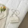 Ins Popular Fashion Small Bag Female Personality Patent Leather Crocodile Print Bag Acrylic Chain One Shoulder Underarm Bag Tide