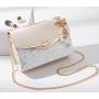 Stylish Versatile Golden Chain Strap Ladies Designer Purse Bowknot-decoration Cross Body Messenger Bags For Women