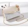 Stylish Versatile Golden Chain Strap Ladies Designer Purse Bowknot-decoration Cross Body Messenger Bags For Women