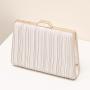 Fashionable and versatile ladies in the evening clutch bag women