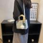 ZR301 Small Cloth Handheld Women's Bag 2023 New Fashion Versatile One Shoulder Crossbody Bag Checked Small Square Bag