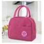 LB019 New Fashion Waterproof 2022 Hand Carrying Insulated Handbag Portable Cooler Lunch Box Bag Multi-function Handbag