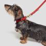 Brass Hardware Rust-Proof Leather Belt Adjustable Leather Belt Classic Pet Collar Leather