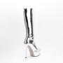 Banquet Botas Hot Selling Lady High Heels Metallic Boots Women Thick Sole Back Zipper Pointy Toe Platform Heels Mid Calf Boots