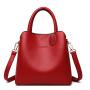 2024 New Ladies Large Capacity Women's Handbag with Single Strap Joker Messenger Bags for women