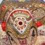 High Quality Luxury Ganesha Burgundy Pink Penguin Purses Rhinestone Purse Straps Evening Bags Crystal Bag