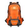 Customized Large Capacity Lightweight Waterproof Nylon Travel Sports Backpacks Outdoor Camping Hiking Backpack