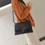 2023 / 2024 Luxury Vegan leather women Handbag Leather Chic lady bag Ladies Handbags