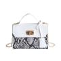 Factory Wholesale 2023 New Vintage Snake Pattern Handbag Sling Shoulder Crossbody Bag Mobile Phone Square Bag Korean Fashion