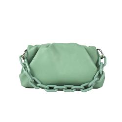 2021 Mint Color Ladies Handbags Women Bags Dumpling Bag Ins Fashion Acrylic Chain Shoulder Bag