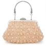 sac tendance 2024 Fall and winter new banquet Pearl bag dinner bags Fashion luxury pearl handbag for women  Clutch Purses