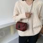 Women's bag 2024 new summer versatile crossbody shoulder bags for women with a high quality chain strap women's messenger bags