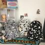 New Trend Female Backpack Fashion Women Backpack College School Bagpack For Teenage Girls Gelory