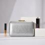 Fashionable solid color minimalist glossy light texture party evening bags handbags ladies purse clutch bag for women