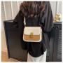 Silk Bags Women Handbags Ladies Contrasting Color Designer Handbag Wholesale Flap Fashion Quality Handbags CY064