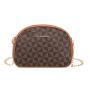 2024 New Women's Fashion Bag Classic Simple Chain Portable Crossbody Small Bag Wholesale Foreign Trade Printed Design