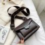 Mini Crossbody Bag Bolsas Para Mujer Fashion Pu Leather Single Shoulder Crossbody Bag Designer Handbag Wholesale Taschen