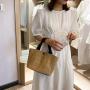 Cute Bag for Women 2024 Summer New Internet Celebrity Handbag Women's Beach Vacation Weaving Straw Woven Bag