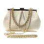 2024 New Chain Dress Handbag evening bag