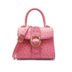 ODM OEM New Arrivals 2022 Ladies Luxury Genuine Leather Ostrich Skin Handbags For Women Shoulder Crossbody Bags Famous Brand