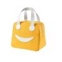 LB010 Wholesale Lunch Bag For Kids Ice Pack Lunch Box Bag Insulation Package Insulated Thermal Food Picnic Boxs Pouch Lunch Bag