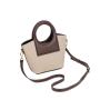 2024 Women Canvas Handbags For Ladies Scarf Hand Bags With Microfiber Leather Handle Strap Design