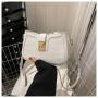 2024 Newest Solid Colors Luxury Classical Women's  Shoulder Bags Leather Ladies Handbags For Women