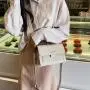 Chic Small Square Bags Women 2024 New Korean Style Messenger Bag Women Wide Strap Fashion Versatile One Shoulder Crossbody Bag