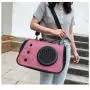ZR345 New Folding Portable Spacecraft Pet Bag Oxford Cloth Outgoing Crossbody Portable Breathable Comfortable Cat Backpack