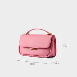 2024 Fashion Ladies Women Small Satchel Vegan Leather Bags Brass Hasp Shoulder Messenger Bags for Women Casual Crossbody Bag