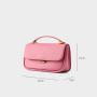 2024 Fashion Ladies Women Small Satchel Vegan Leather Bags Brass Hasp Shoulder Messenger Bags for Women Casual Crossbody Bag