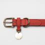 Brass Hardware Rust-Proof Leather Belt Adjustable Leather Belt Classic Pet Collar Leather