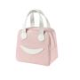 LB010 Wholesale Lunch Bag For Kids Ice Pack Lunch Box Bag Insulation Package Insulated Thermal Food Picnic Boxs Pouch Lunch Bag