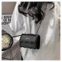 ZR280 Popular Women 2023 Spring New Fashion Simple Chain Shoulder Bag Casual Texture Crossbody Small Square Bag