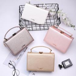 Hot Selling  Case-hardened Designer Handbags Gloss Mini Multi Color Handbag Clutch Crossbody Bag