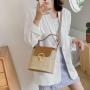2024 New Lockbuckle Grass Woven Bags for Women Casual Simple Handbag Bucket Bag Elegant and Simple Single Shoulder Crossbody Bag