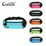 Conceal Carry Waterproof Runner Bum Bag Phone Multifunctional Mini Riding Waist Bag