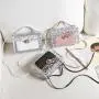 Transparent crossbody bags for women 2024 trend ladies handbag small square bag mini satchel shoulder bag