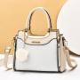 2024 New Large Capacity Women's Fashionable Shoulder Messenger Bag Single Strap Portable Chains Elegant Mother Bag Simple