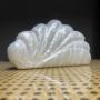 Unique Ladies new crossbody bag shell fan-shaped acrylic bag fashion wedding dinner clutch bag 2024