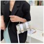 2022 Ladies Designer Bags PVC Golden-hardware Cross-body Flap Zipper Messenger Fashion Multi-color Letter Pattern  Shoulder Bag