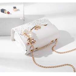 Stylish Versatile Golden Chain Strap Ladies Designer Purse Bowknot-decoration Cross Body Messenger Bags For Women