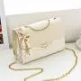 2024 bags for Women Handbags for Bags Shoulder Bags girl womens girls with chain or not to choose